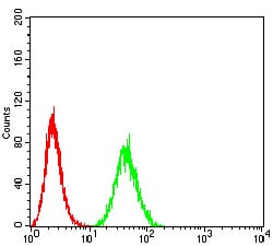 Figure 4:Flow cytometric analysis of Hela cells using B3GAT1 mouse mAb (green) and negative control (red).