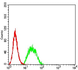 Figure 7:Flow cytometric analysis of Hela cells using UFD1L mouse mAb (green) and negative control (red).