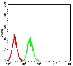 Figure 5:Flow cytometric analysis of Hela cells using VIMP mouse mAb (green) and negative control (red).