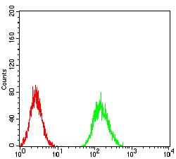 Figure 5:Flow cytometric analysis of Hela cells using AKT3 mouse mAb (green) and negative control (red).