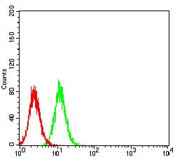 Figure 4:Flow cytometric analysis of Hela cells using AKT3 mouse mAb (green) and negative control (red).