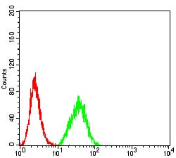 Figure 7:Flow cytometric analysis of Hela cells using DDX1 mouse mAb (green) and negative control (red).