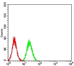 Figure 5:Flow cytometric analysis of Hela cells using IghA1 mouse mAb (green) and negative control (red).