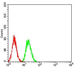 Figure 6:Flow cytometric analysis of Hela cells using TRIM25 mouse mAb (green) and negative control (red).