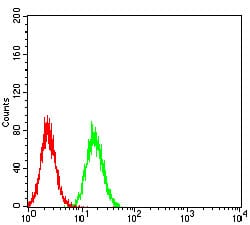 Figure 6:Flow cytometric analysis of Hela cells using TRIM25 mouse mAb (green) and negative control (red).