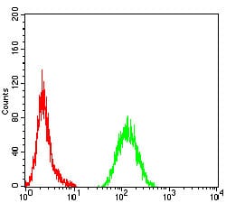 Figure 5:Flow cytometric analysis of Hela cells using ALK mouse mAb (green) and negative control (red).