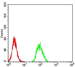 Figure 6:Flow cytometric analysis of Hela cells using RBFOX3 mouse mAb (green) and negative control (red).