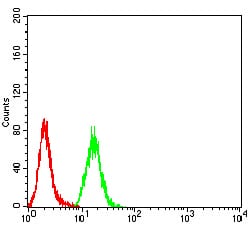 Figure 4:Flow cytometric analysis of Hela cells using GH1 mouse mAb (green) and negative control (red).