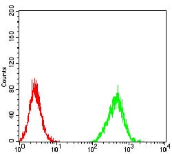 Figure 7:Flow cytometric analysis of Hela cells using ZFP91 mouse mAb (green) and negative control (red).
