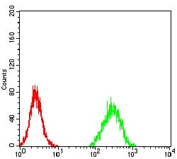 Figure 7:Flow cytometric analysis of Hela cells using ZFP91 mouse mAb (green) and negative control (red).