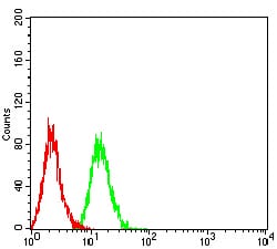 Figure 4:Flow cytometric analysis of MCF-7 cells using UL37 mouse mAb (green) and negative control (red).