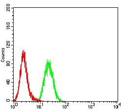 Figure 5:Flow cytometric analysis of Hela cells using UL37 mouse mAb (green) and negative control (red).