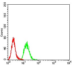 Figure 4:Flow cytometric analysis of Hela cells using ESRRA mouse mAb (green) and negative control (red).