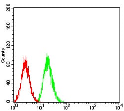 Figure 5:Flow cytometric analysis of Hela cells using SOD2 mouse mAb (green) and negative control (red).