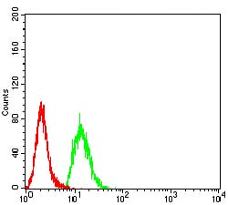 Figure 5:Flow cytometric analysis of Hela cells using KDM3A mouse mAb (green) and negative control (red).