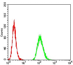 Figure 6:Flow cytometric analysis of MCF-7 cells using MET mouse mAb (green) and negative control (red).