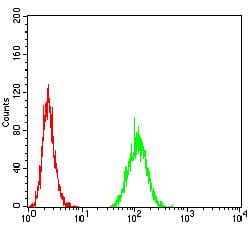 Figure 5:Flow cytometric analysis of MCF-7 cells using MET mouse mAb (green) and negative control (red).