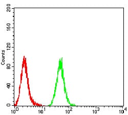 Figure 6:Flow cytometric analysis of Hela cells using MIB1 mouse mAb (green) and negative control (red).