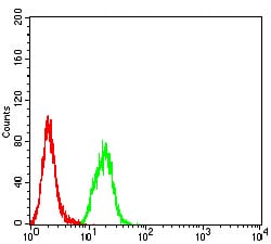 Figure 5:Flow cytometric analysis of Hela cells using SYK mouse mAb (green) and negative control (red).