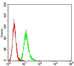 Figure 5:Flow cytometric analysis of Hela cells using SYK mouse mAb (green) and negative control (red).