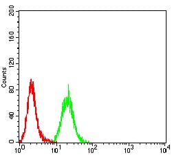 Figure 4:Flow cytometric analysis of Hela cells using MUC5AC mouse mAb (green) and negative control (red).