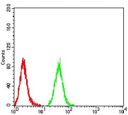 Figure 5:Flow cytometric analysis of Hela cells using IDH1 mouse mAb (green) and negative control (red).