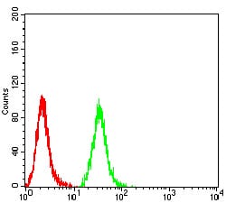 Figure 4:Flow cytometric analysis of Hela cells using C1QA mouse mAb (green) and negative control (red).