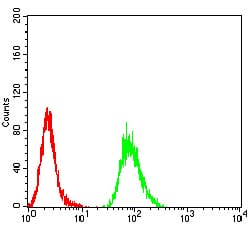 Figure 6:Flow cytometric analysis of Hela cells using VP2 mouse mAb (green) and negative control (red).