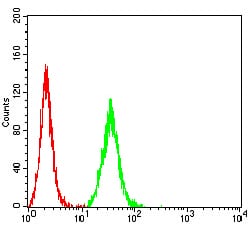 Figure 5:Flow cytometric analysis of HepG2 cells using ALK mouse mAb (green) and negative control (red).