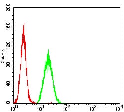 Figure 5:Flow cytometric analysis of Hela cells using HLA-B mouse mAb (green) and negative control (red).