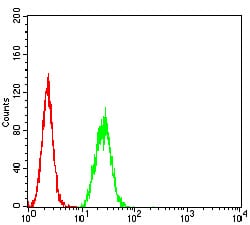 Figure 6:Flow cytometric analysis of Hela cells using CPV-VP2 mouse mAb (green) and negative control (red).