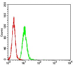 Figure 5:Flow cytometric analysis of Hela cells using AFAP1L2 mouse mAb (green) and negative control (red).