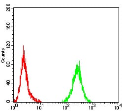 Figure 5:Flow cytometric analysis of Hela cells using PLCG1 mouse mAb (green) and negative control (red).