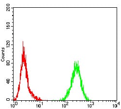 Figure 4:Flow cytometric analysis of Hela cells using PLCG1 mouse mAb (green) and negative control (red).