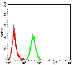 Figure 4:Flow cytometric analysis of Hela cells using MMP2 mouse mAb (green) and negative control (red).