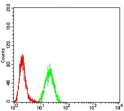 Figure 5:Flow cytometric analysis of Hela cells using DOC2 mouse mAb (green) and negative control (red).