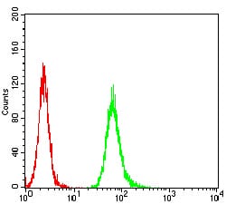 Figure 4:Flow cytometric analysis of Hela cells using ANAPC11 mouse mAb (green) and negative control (red).