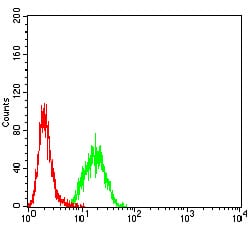 Figure 4:Flow cytometric analysis of Hela cells using MITF mouse mAb (green) and negative control (red).