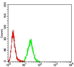 Figure 5:Flow cytometric analysis of Hela cells using KRT10 mouse mAb (green) and negative control (red).