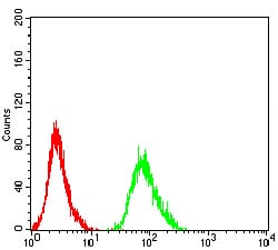 Figure 5:Flow cytometric analysis of MCF-7 cells using ADRB2 mouse mAb (green) and negative control (red).