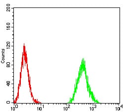 Figure 5:Flow cytometric analysis of MCF-7 cells using CCND1 mouse mAb (green) and negative control (red).