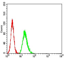 Figure 4:Flow cytometric analysis of Hela cells using TCF4 mouse mAb (green) and negative control (red).