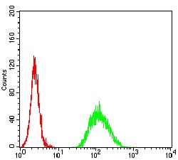 Figure 5:Flow cytometric analysis of Hela cells using ADAMTS1 mouse mAb (green) and negative control (red).