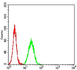 Figure 5:Flow cytometric analysis of Hela cells using BRD2 mouse mAb (green) and negative control (red).