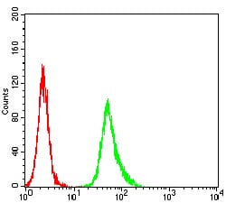 Figure 7:Flow cytometric analysis of Hela cells using ESR1 mouse mAb (green) and negative control (red).