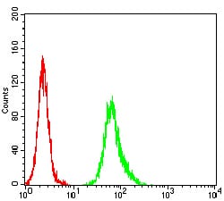 Figure 7:Flow cytometric analysis of Hela cells using ESR1 mouse mAb (green) and negative control (red).