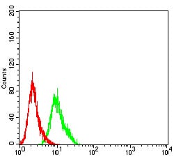 Figure 4:Flow cytometric analysis of Hela cells using AFAP1L2 mouse mAb (green) and negative control (red).