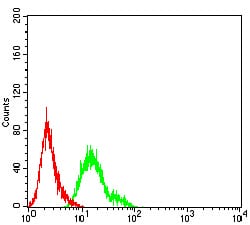 Figure 5:Flow cytometric analysis of Hela cells using TFAP2A mouse mAb (green) and negative control (red).