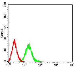 Figure 2:Flow cytometric analysis of Jurkat cells using Phospho-4E-BP1 (Ser65) mouse mAb (green) and negative control (red).