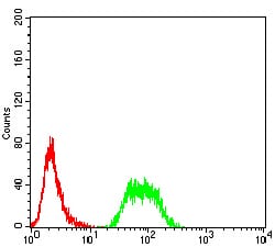 Figure 6:Flow cytometric analysis of SMMC-7721 cells using NAA10 mouse mAb (green) and negative control (red).